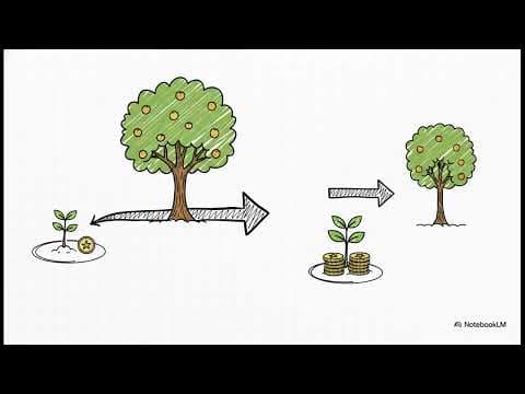 Beginner's Guide to the Stock Market